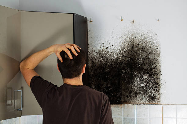 Best Crawl Space Mold Removal  in Roosevelt Park, MI